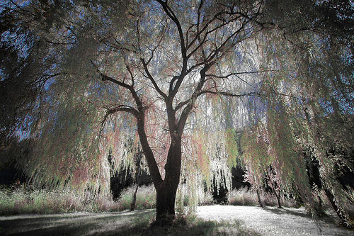 Infrared 850 nm filtr 77 mm
