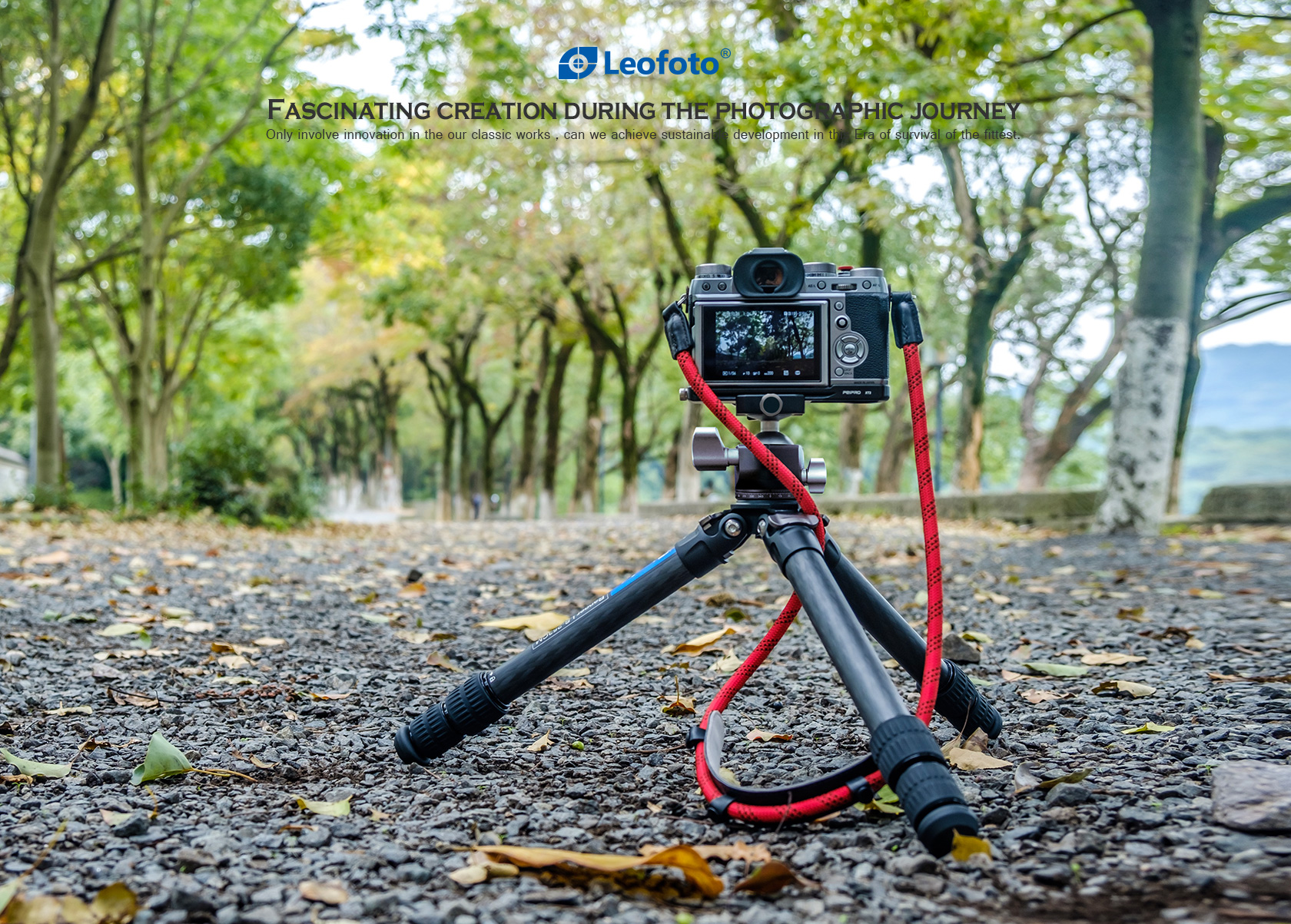 Tripod Leofoto Ranger LS-253CM s hlavou LH30