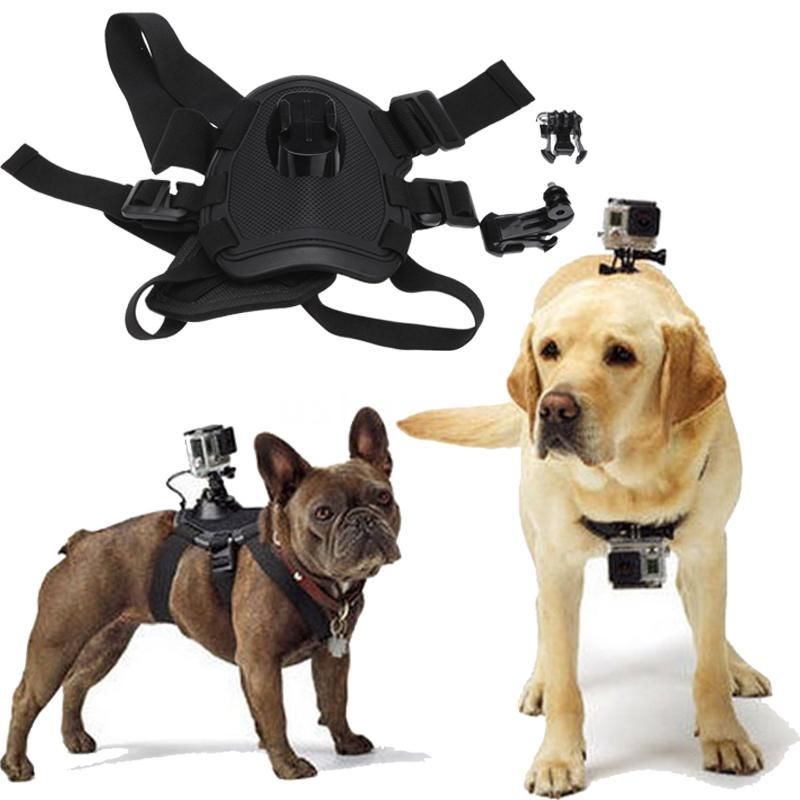 Dog mount, psí postroj držák pro kamery GoPro
